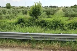 #2638553 Appezzamento di terreno agricolo con uliveto