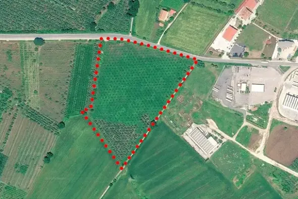 #2638553 Appezzamento di terreno agricolo con uliveto