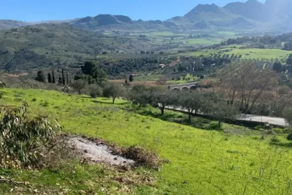 #21270 Appezzamento di terreno di 4319 mq