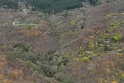 #23432 Appezzamento di terreno montano di 750 mq