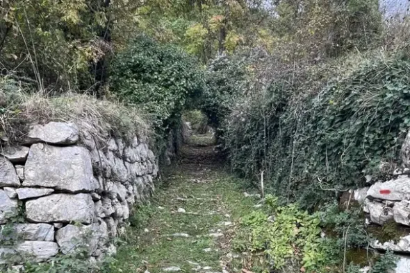 #23432 Appezzamento di terreno montano di 750 mq