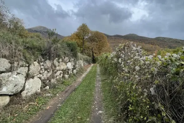 #23432 Appezzamento di terreno montano di 750 mq