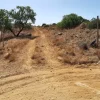 #24275 Appezzamento di terreno per attività agricole