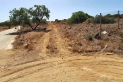 #24275 Appezzamento di terreno per attività agricole