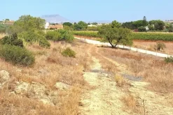 #24275 Appezzamento di terreno per attività agricole