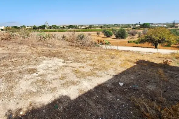 #24275 Appezzamento di terreno per attività agricole