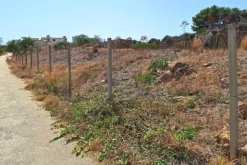 #24275 Appezzamento di terreno per attività agricole