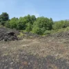 #21169 Appezzamento incolto alle pendici dell’Etna