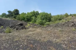 #21169 Appezzamento incolto alle pendici dell’Etna