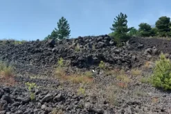 #21169 Appezzamento incolto alle pendici dell’Etna