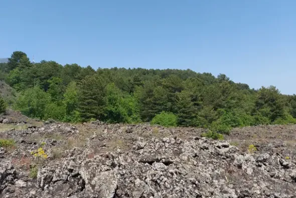 #21169 Appezzamento incolto alle pendici dell’Etna