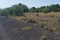 #21169 Appezzamento incolto alle pendici dell’Etna