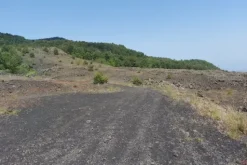 #21169 Appezzamento incolto alle pendici dell’Etna