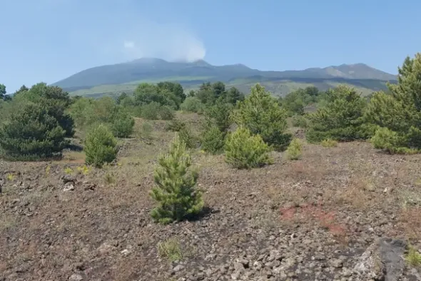 #21169 Appezzamento incolto alle pendici dell’Etna