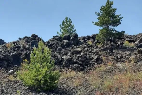 #21169 Appezzamento incolto alle pendici dell’Etna