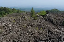 #21169 Appezzamento incolto alle pendici dell’Etna
