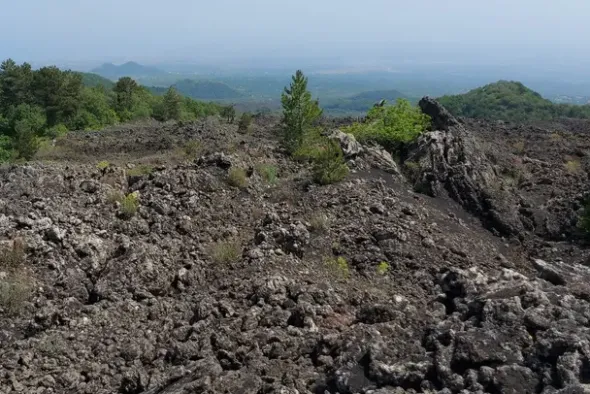 #21169 Appezzamento incolto alle pendici dell’Etna