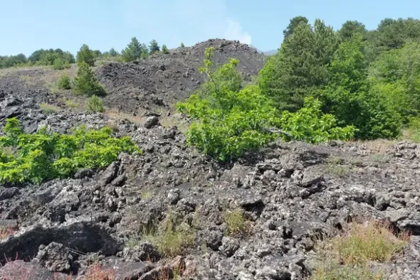 #21169 Appezzamento incolto alle pendici dell’Etna