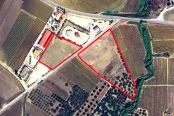 #2638145 Appezzamento in fascia di rispetto stradale