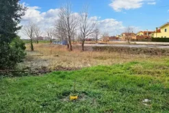 #20197 Appezzamento per verde attrezzato da frazionare