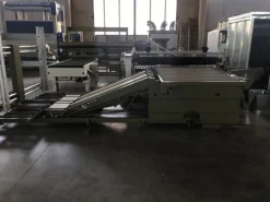 AP805 - 1077Scaricatore, movimentatore RBO