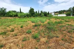 #24071 Area edificabile di 1149 mq in zona residenziale