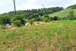 #24072 Area edificabile di 1294 mq in zona residenziale