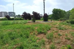 #24072 Area edificabile di 1294 mq in zona residenziale