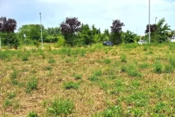 #24073 Area edificabile di 1141 mq in zona residenziale