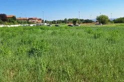 #21687 Area edificabile residenziale di 3069 mq