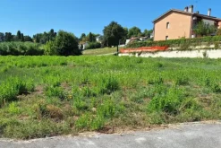 #21687 Area edificabile residenziale di 3069 mq