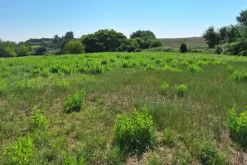 #21687 Area edificabile residenziale di 3069 mq