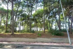 #2638660 Area per attrezzature di interesse collettivo