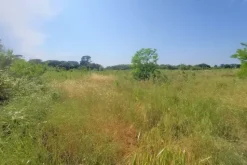 #21170 Area residenziale e turistico-ricettiva da bonificare