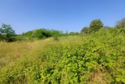 #21170 Area residenziale e turistico-ricettiva da bonificare