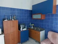 37#8259 Arredi e attrezzature per lavorazione e tintura pelli