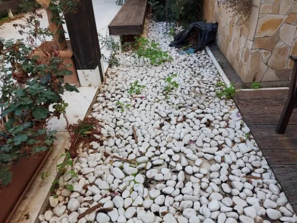 3#7994 Arredi giardino