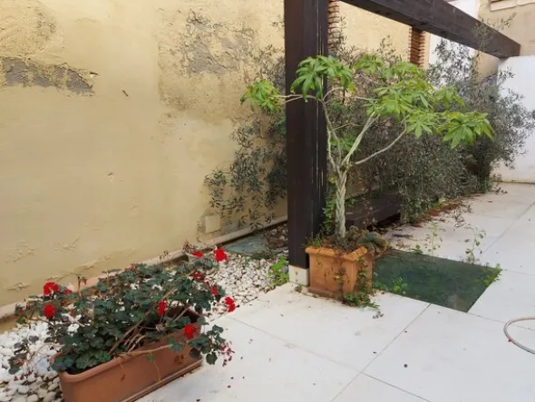 3#7994 Arredi giardino