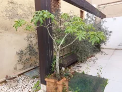 3#7994 Arredi giardino