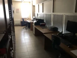 attivita srl a socio unico