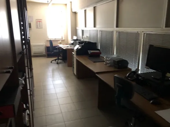 attivita srl a socio unico