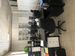 attivita srl a socio unico