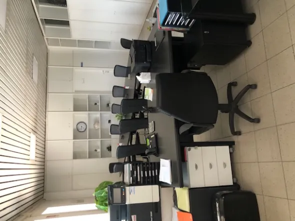 attivita srl a socio unico