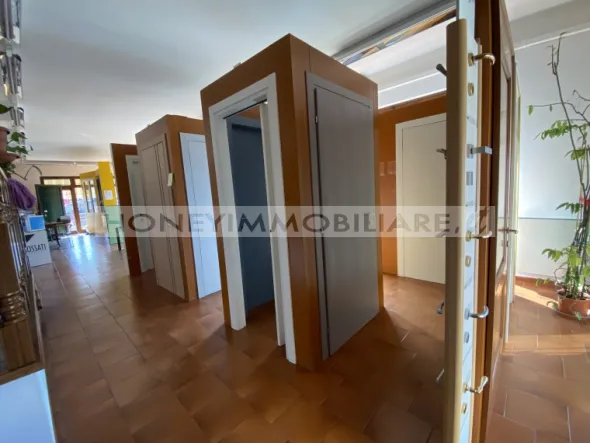 Attività avviata