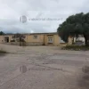 attività con capannone