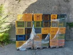 1#7332 Attrezzatura e macchinari per produzione latte