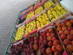 Attrezzatura multiuso