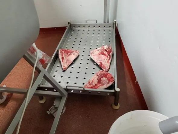 31#46310 Attrezzature e banchi lavoro