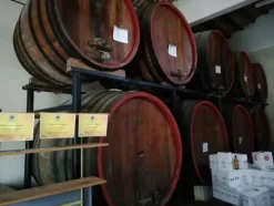 1#3966 Attrezzature e macchinari di cantina vitivinicola