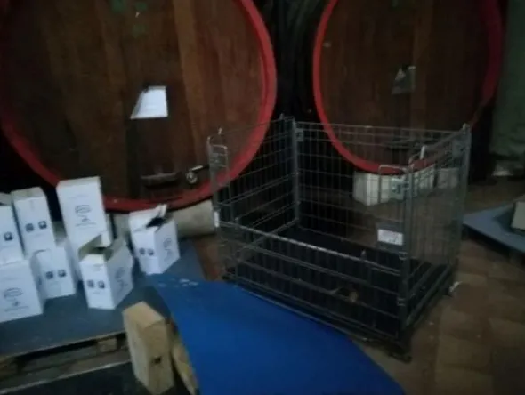 1#3966 Attrezzature e macchinari di cantina vitivinicola